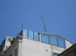 medium_antenne-coreepetit.3.jpg